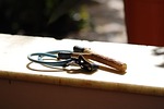 hunting, slingshot, childhood