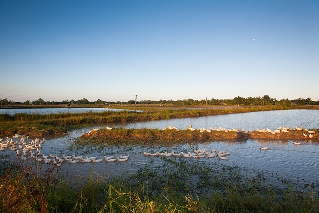 Free Landscape Countryside photo and picture