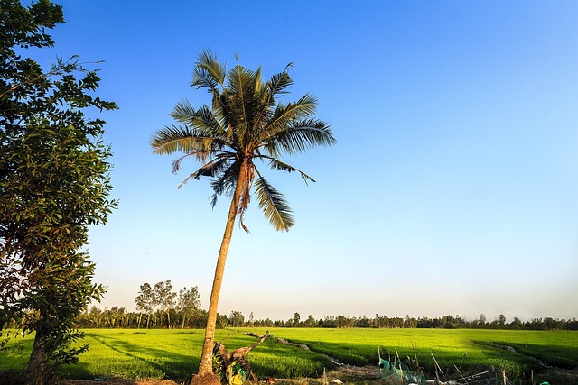 Free Landscape Countryside photo and picture