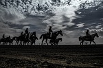 horse race, race track, jockey