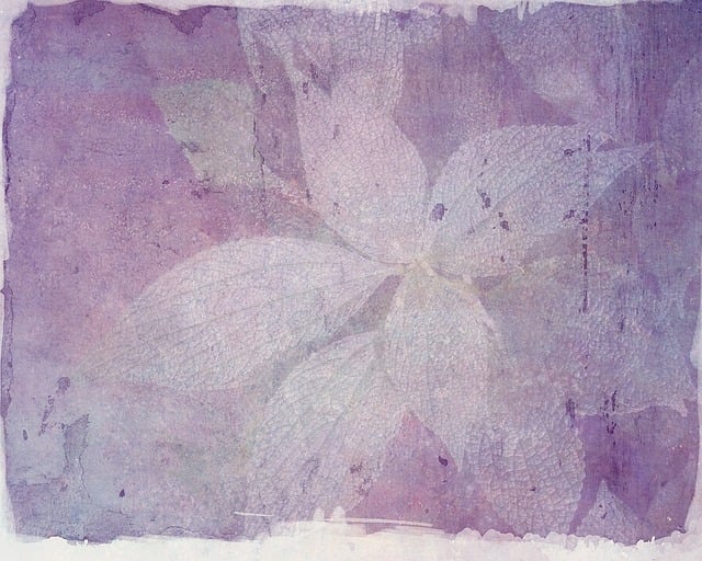 Free background texture leaves illustration