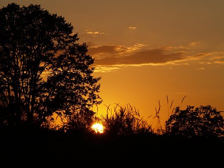 Free Sunset Orange photo and picture