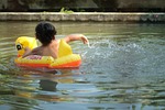 to swim, outdoor, fish