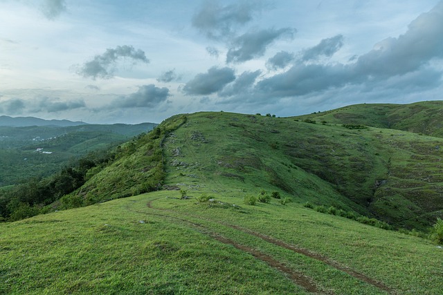 Free Meadows Landscape photo and picture