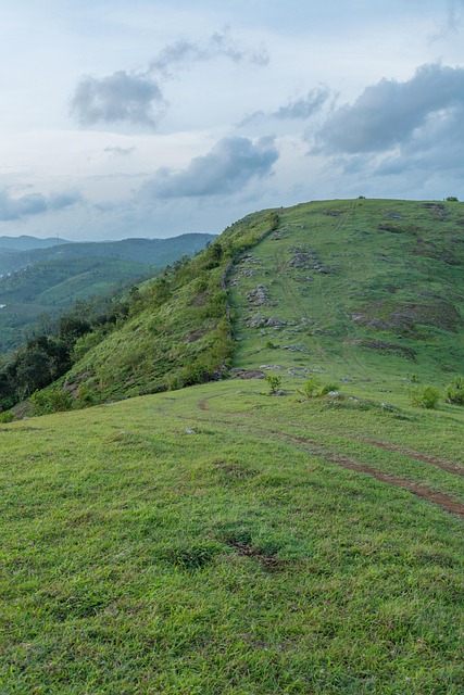 Free Landscape Meadows photo and picture