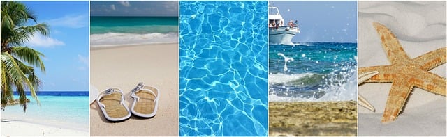 Free travel vacation summer illustration