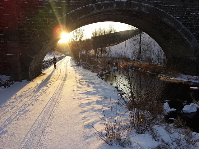 Free Winter Snow photo and picture