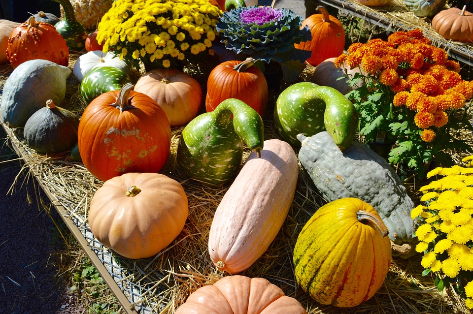 Haustür und Vorgarten prachtvoll für den Herbst dekorieren