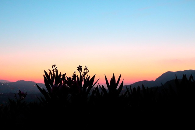 Free Glow Griffith Observatory photo and picture