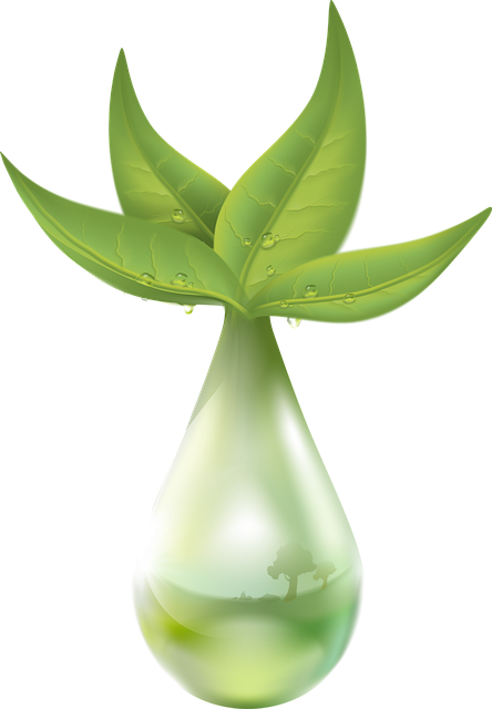 Free extraction vegetable liquid illustration