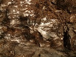 rock, stone, greasy