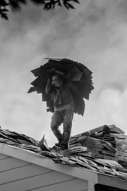 Free Work Labor photo and picture