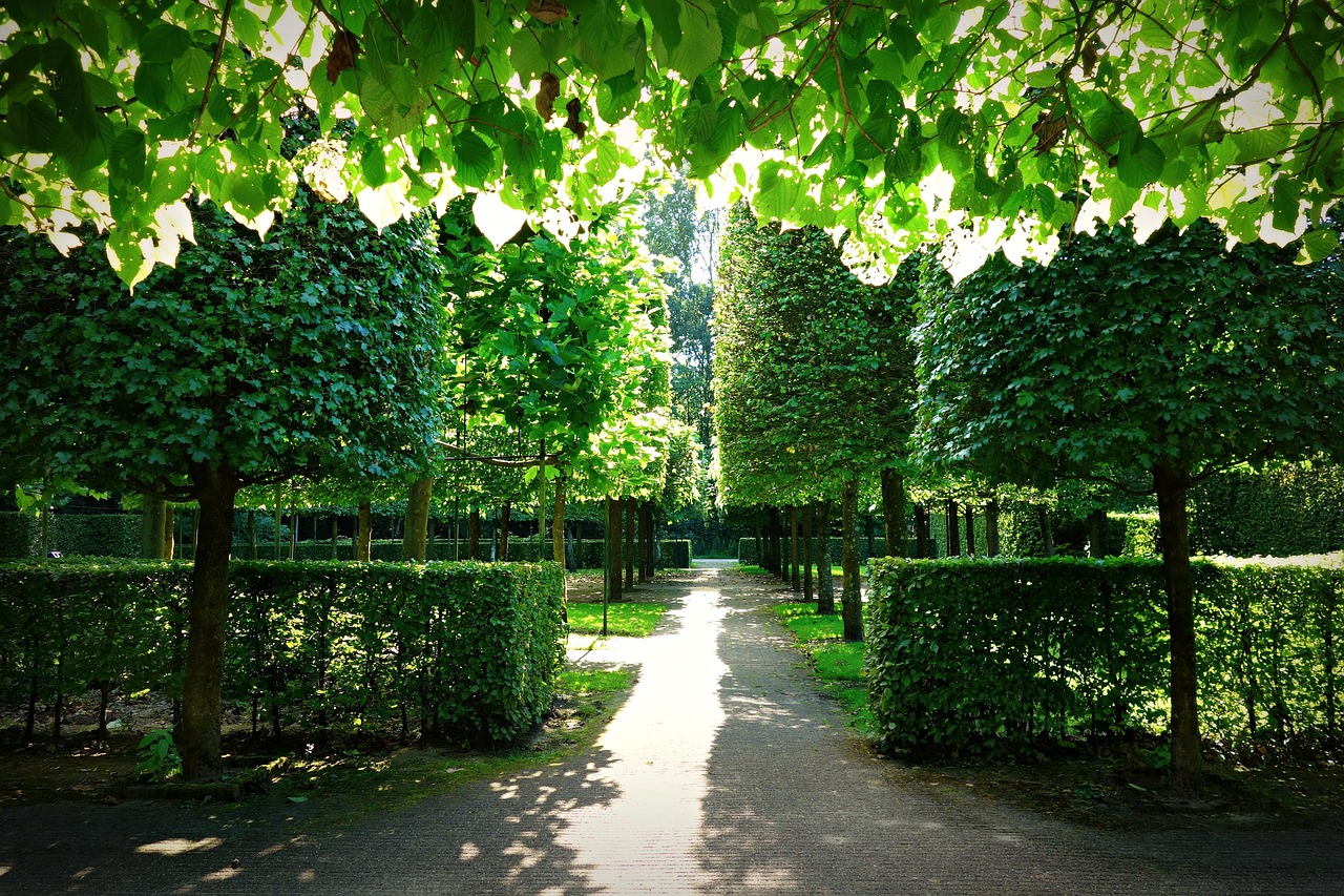 Garden - free online jigsaw puzzle photo
