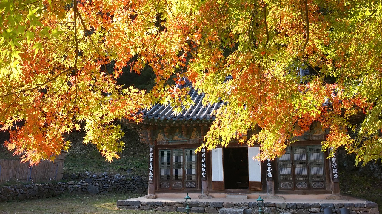 법주사 입장료는 없어졌는데 주차비는 내야해요, 2026 속리산 단풍 제대로 보는 법