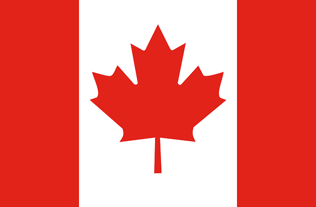 Flagge, Kanada, Ahornblatt, Blatt