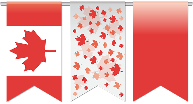 Free flag canada canadian vector