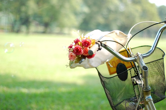 Free Bike Flowers photo and picture