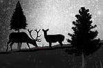 caribou, reindeer, deer