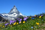 matterhorn, alpine, zermatt