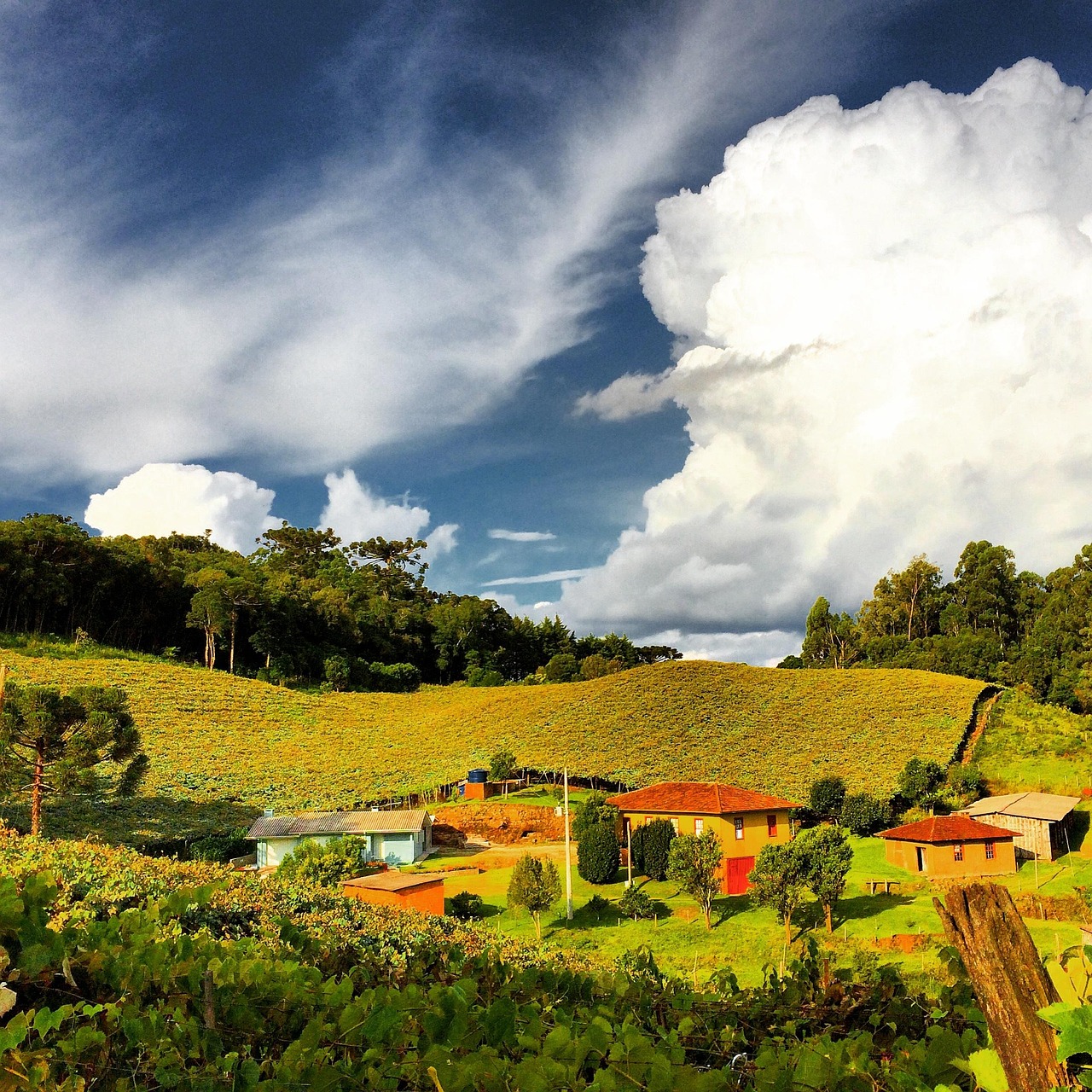 Landscape Rural Brazil Free photo on Pixabay Pixabay Landscape Rural Brazil Free photo on Pixabay Pixabay