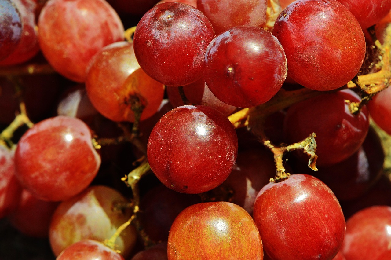 Grapes Fruit Table Ripe Free photo on Pixabay Pixabay