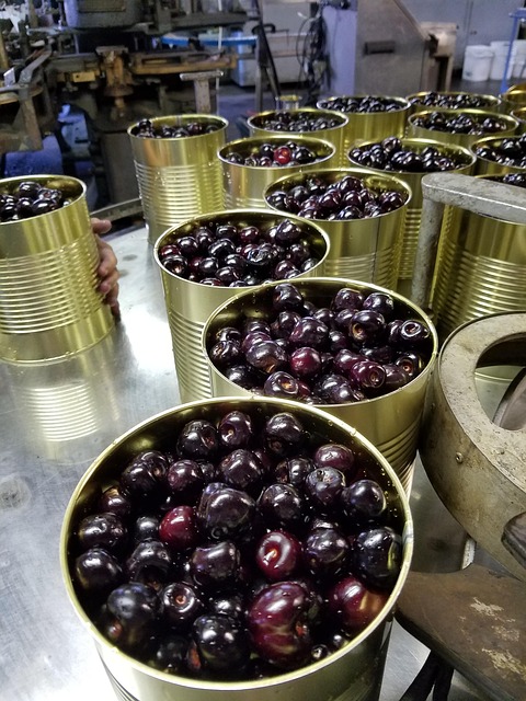 Free Cherries Fruit photo and picture
