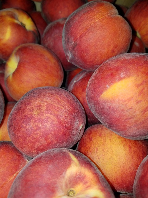 Free Peach Peaches photo and picture