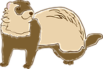 ferret, color, freehand