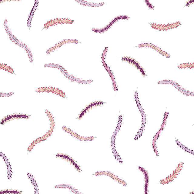 Free feather ethnic elegant vector