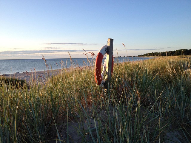 Free Lifebuoy Reed photo and picture