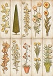 kate greenaway, vintage, bookmark