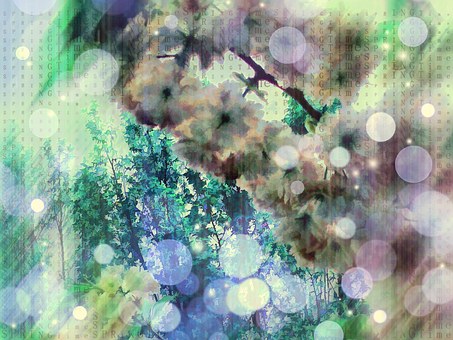 Free Flower Tree Blossom illustration and picture