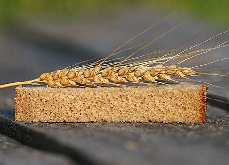Pan, Trigo, Picos, Fertilidad, Cosecha