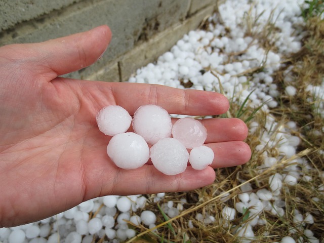 Free Hail Hailstones photo and picture