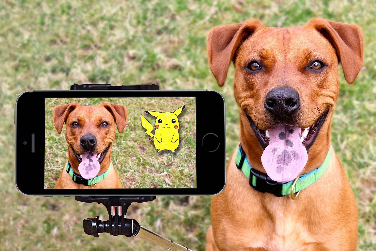 Pokemon Pikachu Hund Kostenloses Foto Auf Pixabay