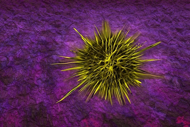 Free bacteria cell counterfeit illustration