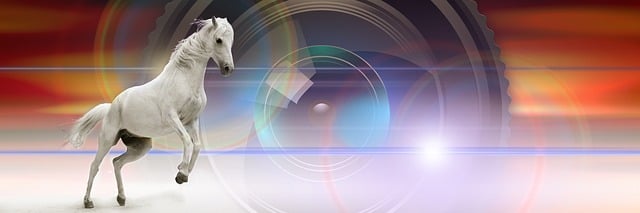 Free mare mould lens illustration