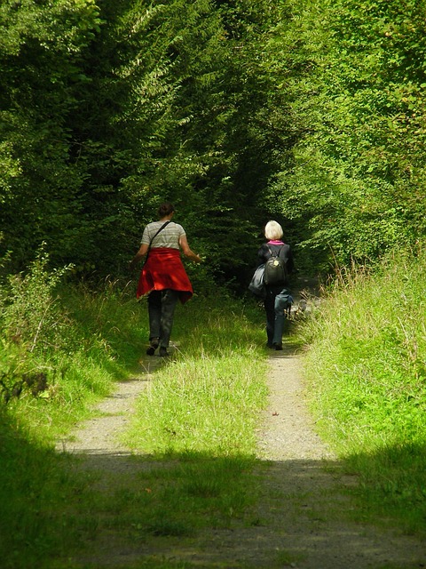 Free Walk Path photo and picture