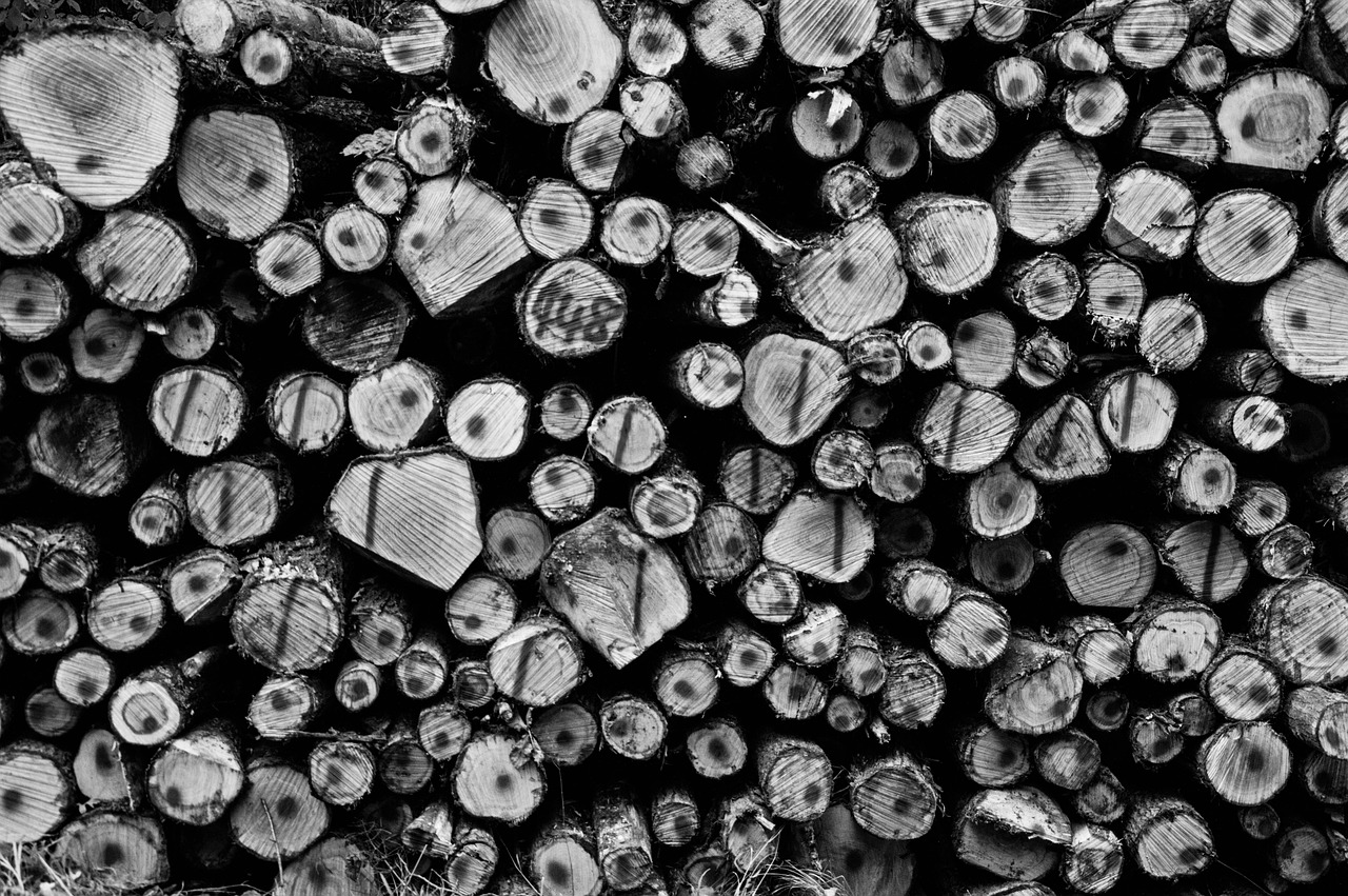 Stack Wood Firewood Pile Of - Free photo on Pixabay - Pixabay