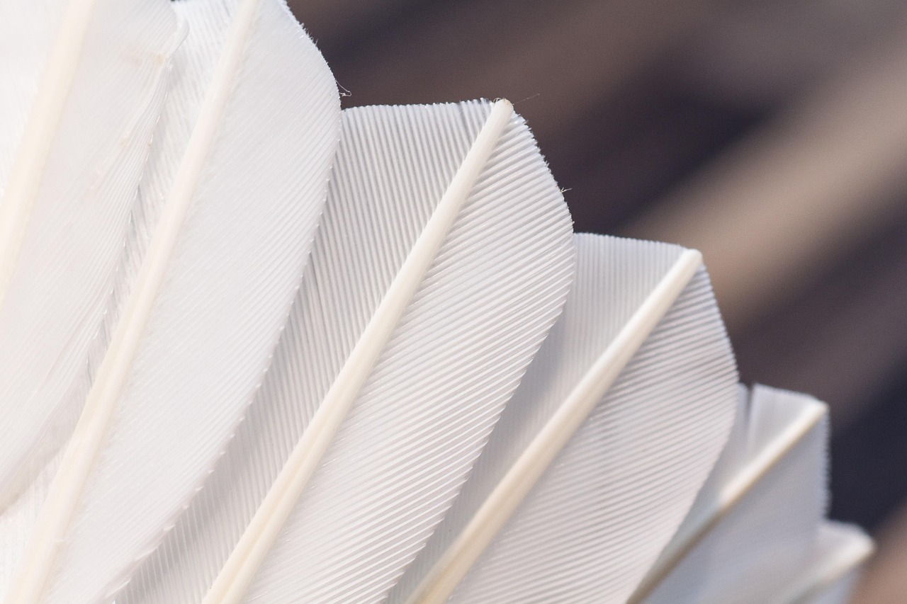 Badminton Shuttlecock Feathers Free photo on Pixabay Pixabay