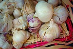 garlic, bulb, onion