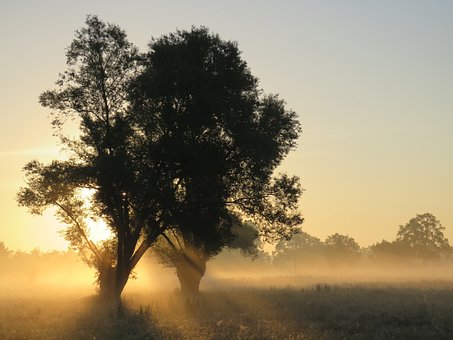 Solopgang, Natur, Humør, Morgenstemning