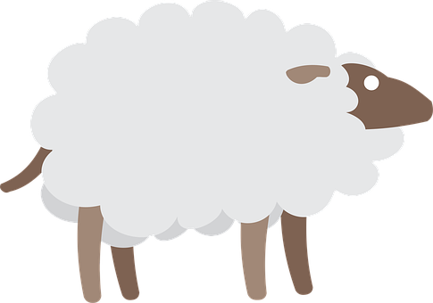 Sau, Natur, Geit, Dyr, Gård, Låve