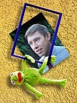 out of the ordinary, kermit, frog