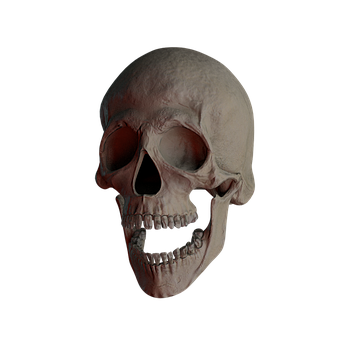 Adult Content Safesearch Skull Skull And Crossbones Bone Creepy Wei Adult Content Safesearch Skull Skull And Crossbones Bone Creepy Wei