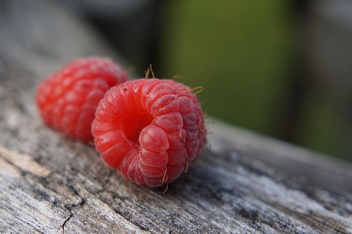 Free Raspberry Fruit photo and picture