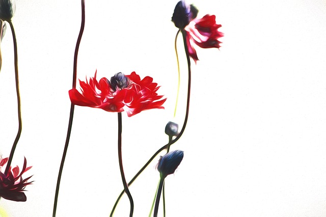 Free picture painted painting illustration