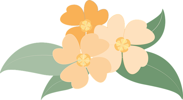 Free flowers plants orange vector