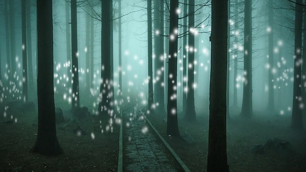 Fantasi, Landskab, Skov, Tress