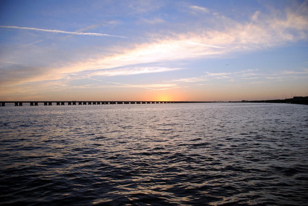 90+ Free Tampa & Tampa Bay